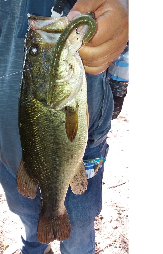 ESFISHING Soft Bait Fishing Se - Fishing Equipment Ebay ulasan dan harga